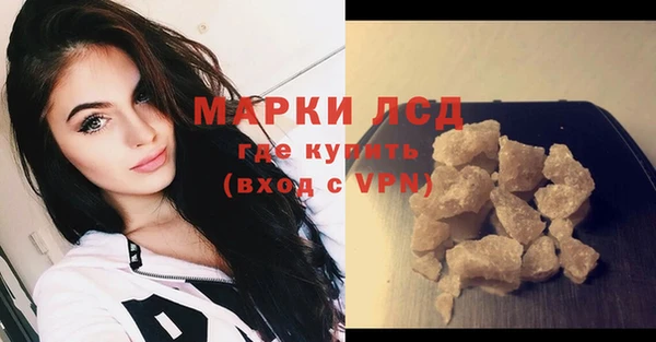 прущие грибы Нефтегорск
